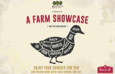 Farm Showcase - Duck Series